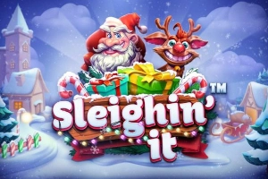 02230 sleighin it